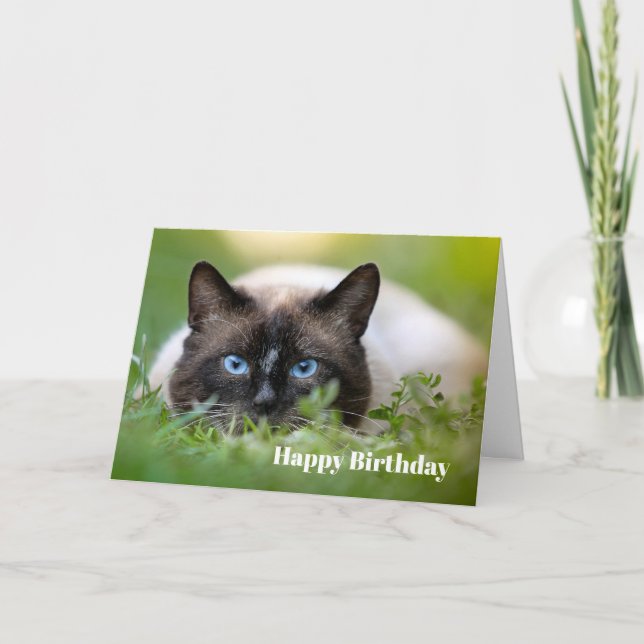 Tarjeta de cumpleaños de foto de gato cute siamesa (Anverso)
