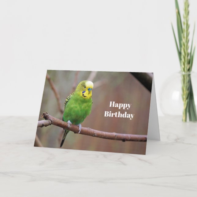 Tarjeta de cumpleaños de foto de Green Budgie para (Anverso)