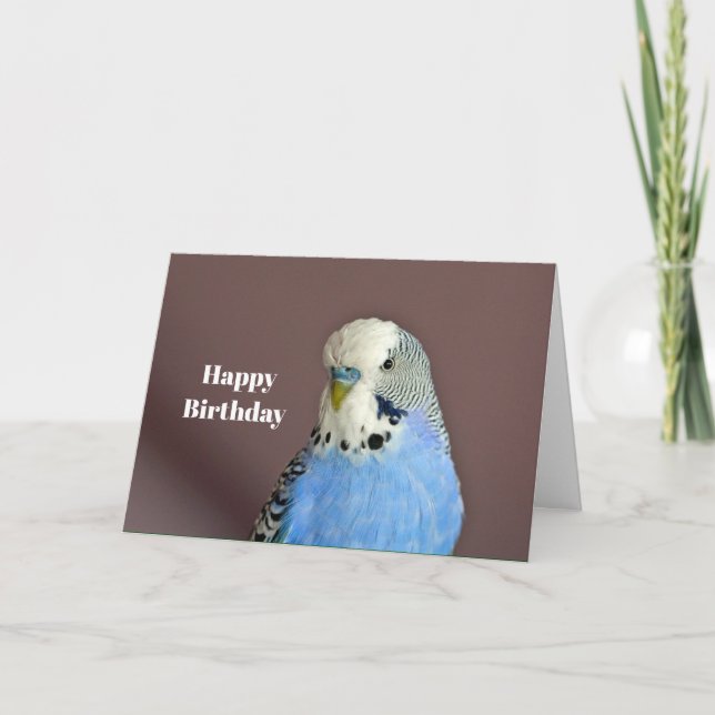Tarjeta de cumpleaños de foto de Parakeet Azul Bon (Anverso)