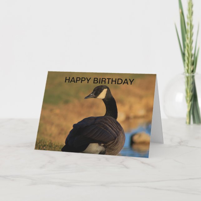 Tarjeta de cumpleaños de ganso canadiense (Anverso)