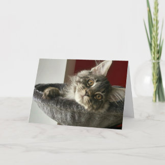Tarjeta de cumpleaños de gatito Maine Coon