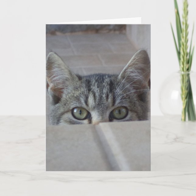 Tarjeta de cumpleaños de gatito Peek-a-boo (Anverso)