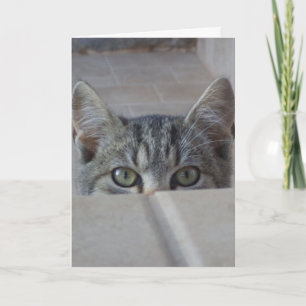Tarjeta de cumpleaños de gatito Peek-a-boo