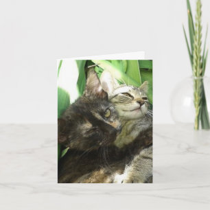 Tarjeta de cumpleaños de gatitos lindos acurrucado
