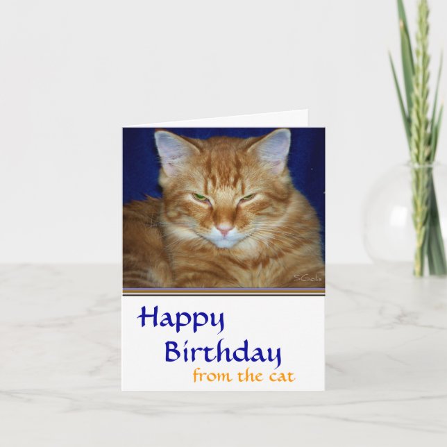 Tarjeta de cumpleaños de gato atigrado gruñón - Di (Anverso)