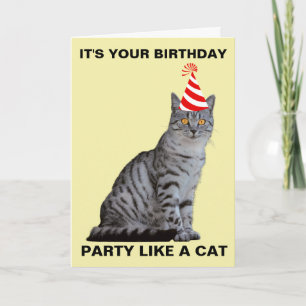 TARJETA DE CUMPLEAÑOS DE GATO COMO UNA FIESTA