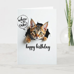 Tarjeta de cumpleaños de gato curioso juguetón