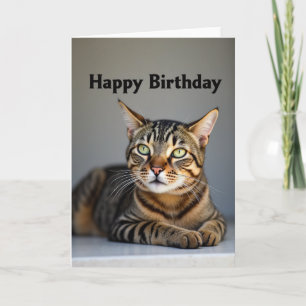 Tarjeta de cumpleaños de gato de ojos verdes