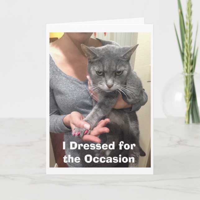 Tarjeta de cumpleaños de gato enojada (Anverso)