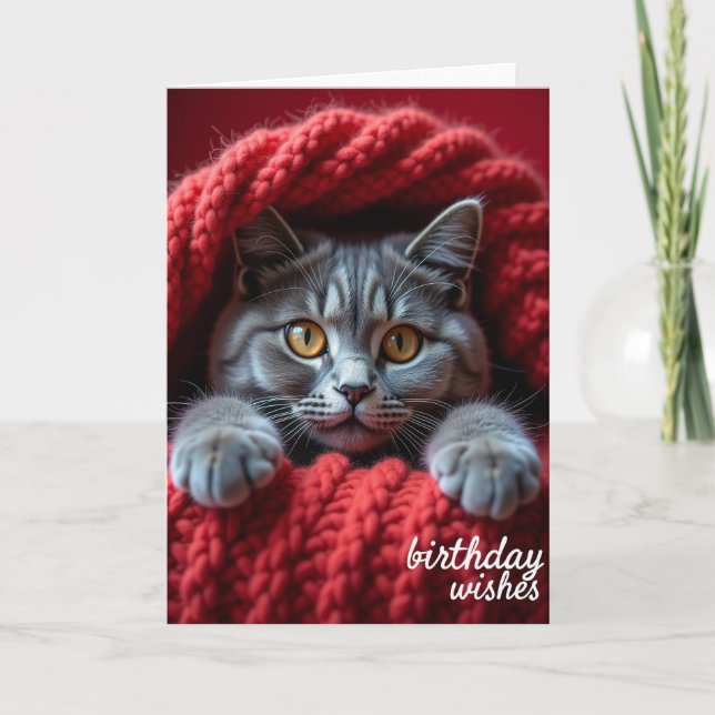Tarjeta de cumpleaños de gato mirada (Anverso)
