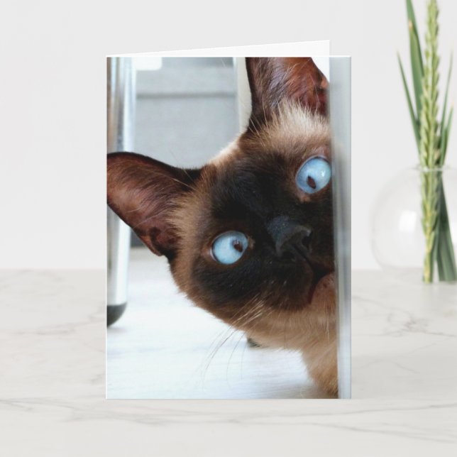 TARJETA DE CUMPLEAÑOS DE GATO SIAMÉS LINDOS (Anverso)