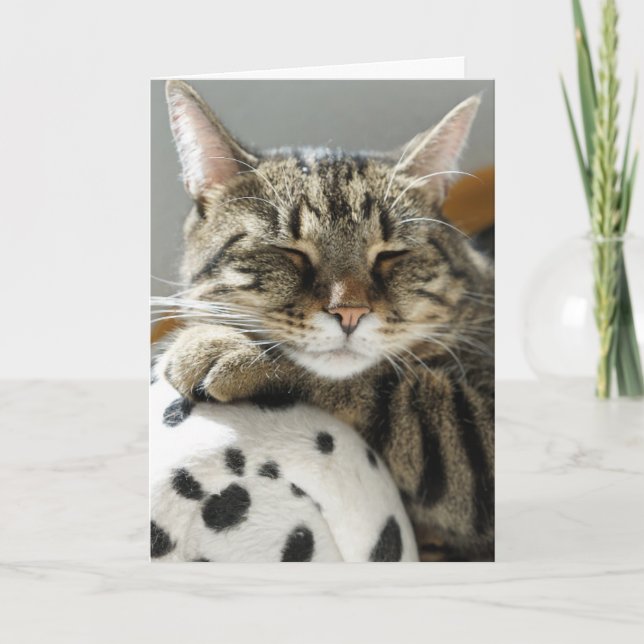 TARJETA DE CUMPLEAÑOS DE GATO TABBY (Anverso)