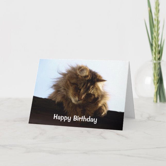 Tarjeta de cumpleaños de gato tabby, de larga dura (Anverso)