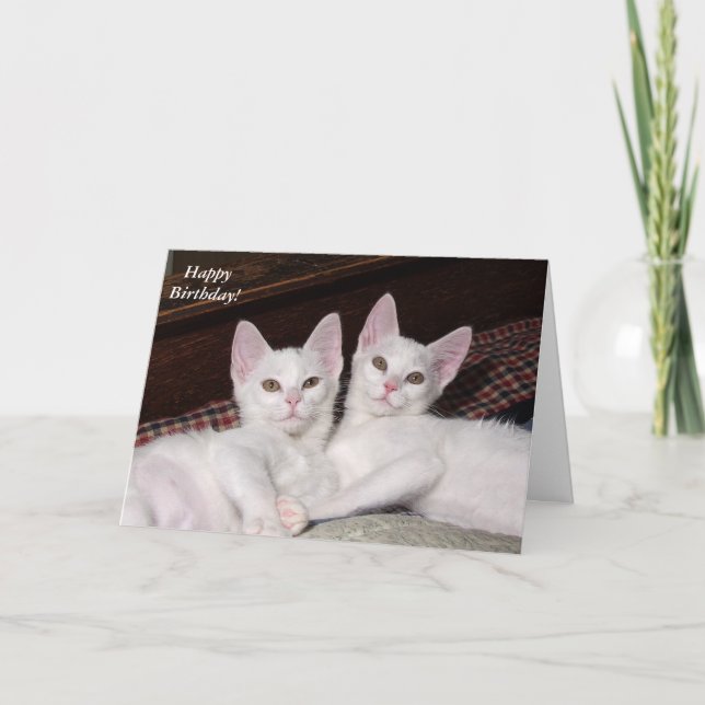 Tarjeta de cumpleaños de gatos gemelos de amor her (Anverso)
