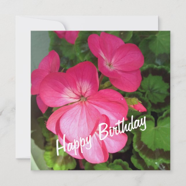 Tarjeta de cumpleaños de Geranium rosa (Anverso)