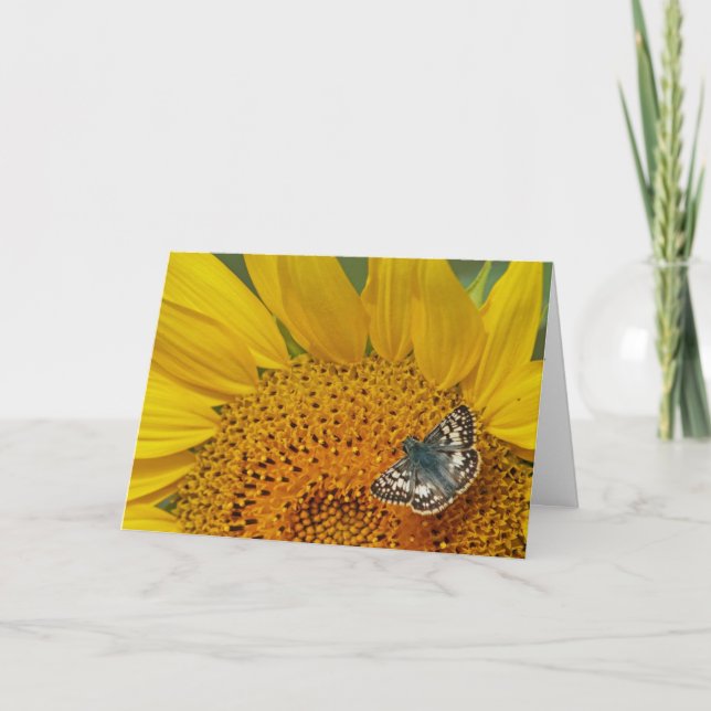Tarjeta de cumpleaños de girasol y mariposa esquia (Anverso)