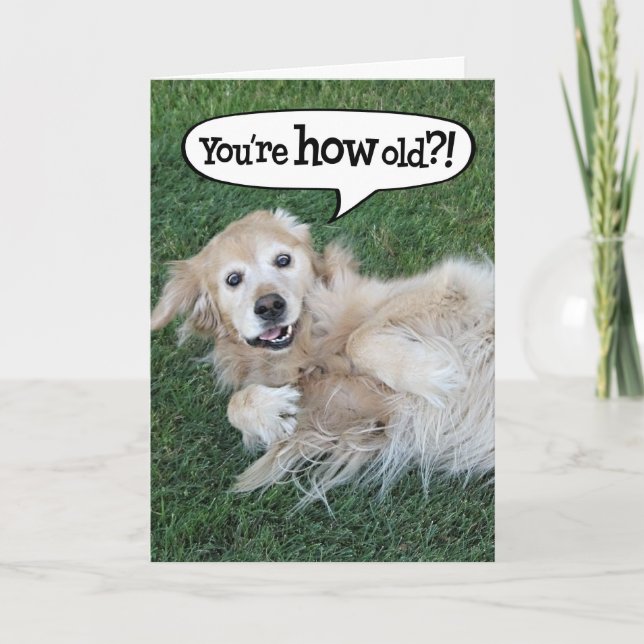 Tarjeta de cumpleaños de Golden Retriever impactad (Anverso)