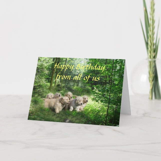 Tarjeta de cumpleaños de Golden Retriever Puppies (Anverso)