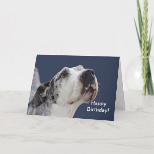 Tarjeta de cumpleaños de great dane