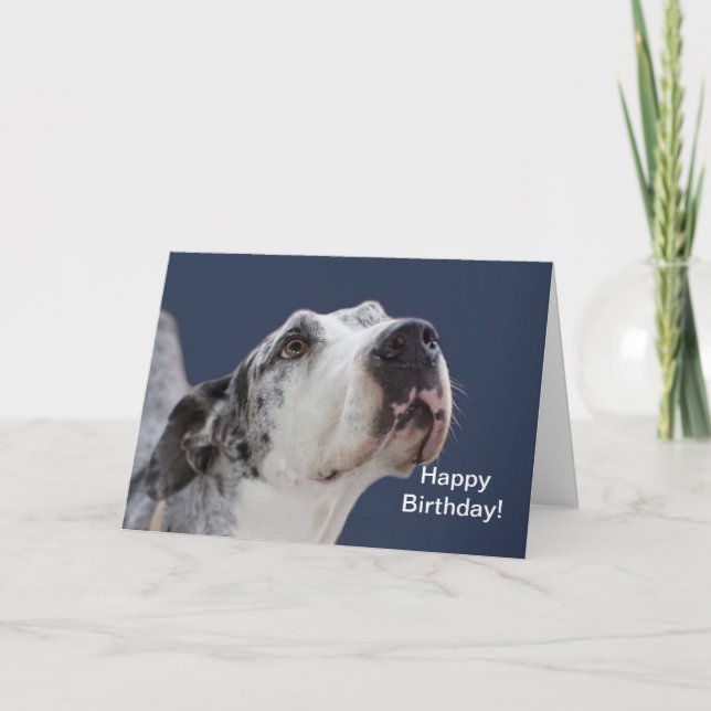 Tarjeta de cumpleaños de great dane (Anverso)