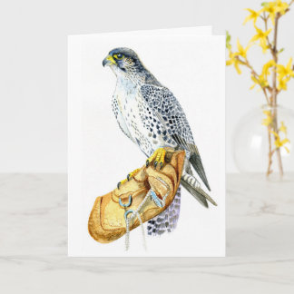 Tarjeta de cumpleaños de halcón Saker/Gyr