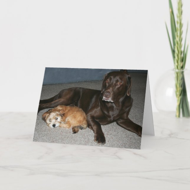 Tarjeta de cumpleaños de hermano mayor (Anverso)