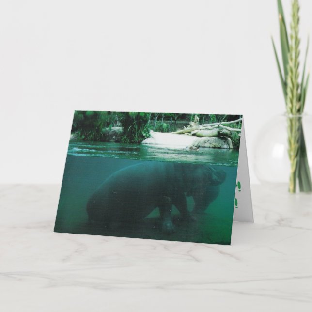 Tarjeta de cumpleaños de "Hipopótamo" (Anverso)