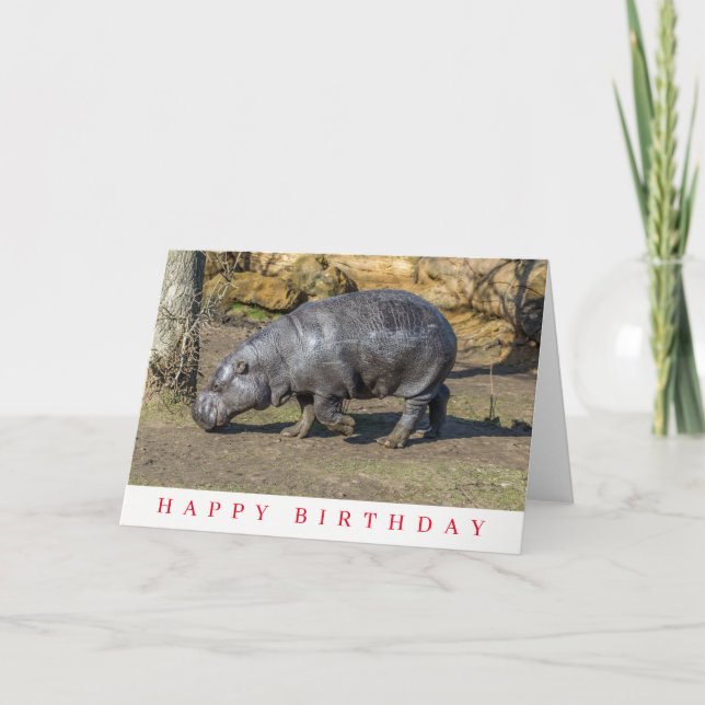 Tarjeta de cumpleaños de hipopótamo pigmeo (Anverso)