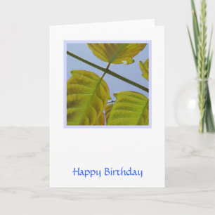 Tarjeta de cumpleaños de hojas de primavera