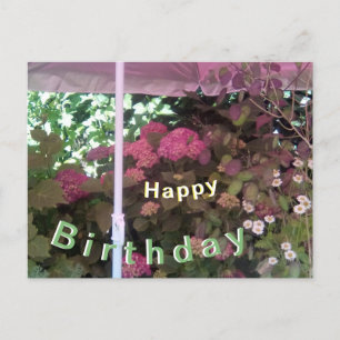 Tarjeta de cumpleaños de Hortensia bajo Sombrilla 
