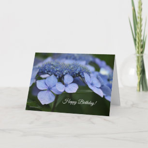 Tarjeta de cumpleaños de Hydrangea