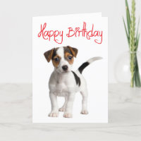 Tarjeta de cumpleaños de Jack Russell Terrier Pupp