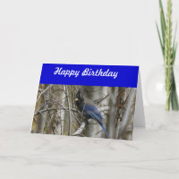 Tarjeta de cumpleaños de Jay de Steller