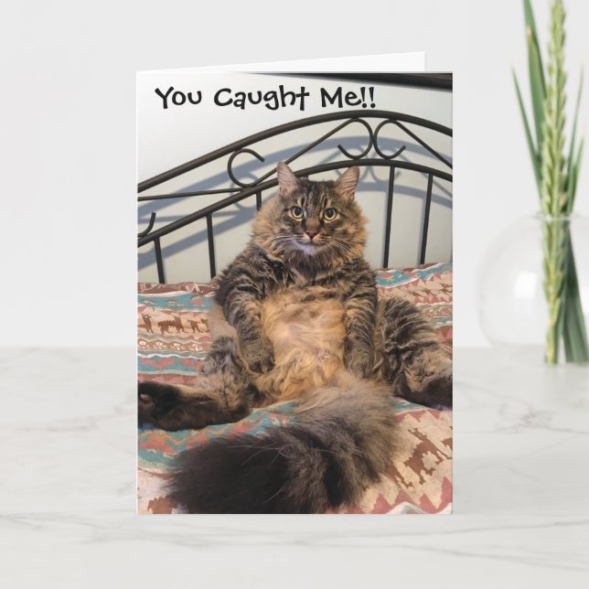 Tarjeta de cumpleaños de Kimber Hairball de cumple (Anverso)