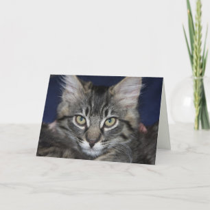 Tarjeta de cumpleaños de Kimber Kitten Happy
