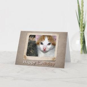 Tarjeta de cumpleaños de Kitten