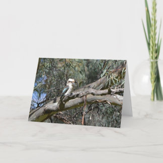 Tarjeta de cumpleaños de Kookaburra
