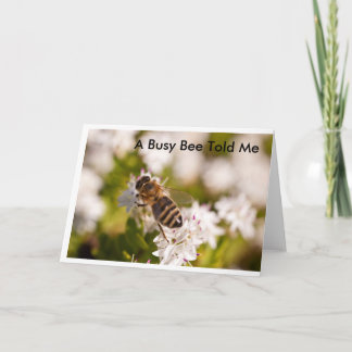 Tarjeta de cumpleaños de la abeja ocupada