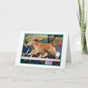 Tarjeta de cumpleaños de la agilidad del golden
