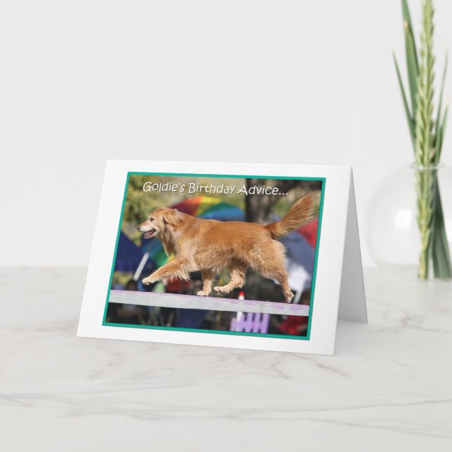 Tarjeta de cumpleaños de la agilidad del golden (Anverso)