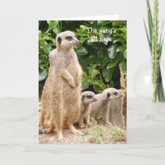 Tarjeta de cumpleaños de la banda Meerkat