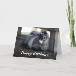 Tarjeta de cumpleaños de la cabra
