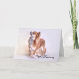 Tarjeta de cumpleaños de la chihuahua