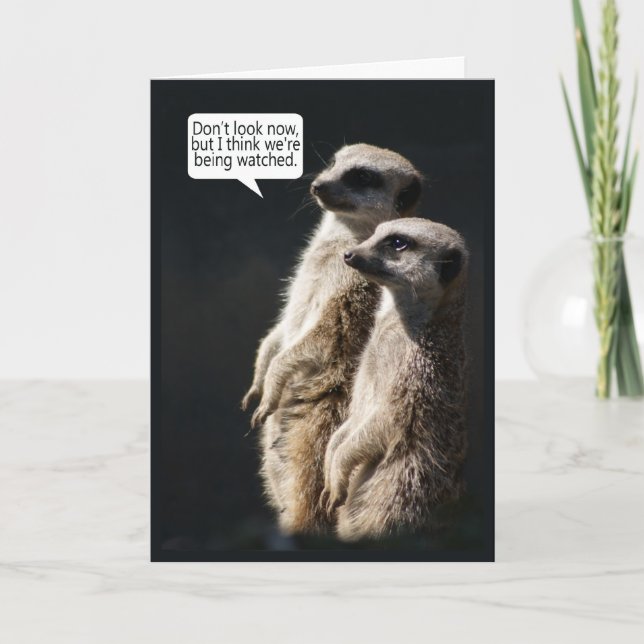 Tarjeta de cumpleaños de la diversión con Meerkats (Anverso)