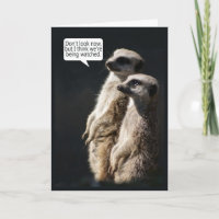 Tarjeta de cumpleaños de la diversión con Meerkats