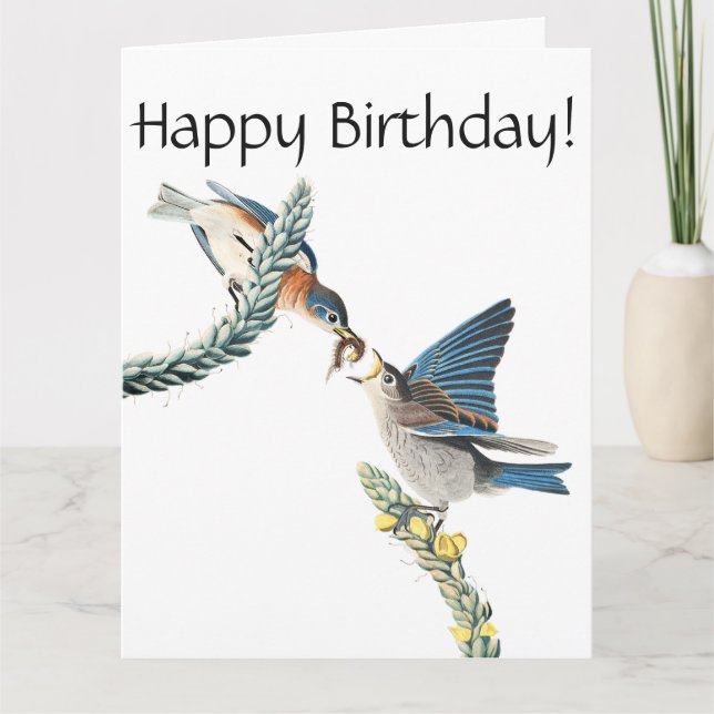 Tarjeta de cumpleaños de la fauna del pájaro del (Anverso)