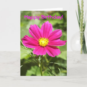 Tarjeta de cumpleaños de la flor del cosmos