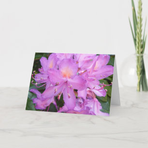 Tarjeta de cumpleaños de la flor del rododendro