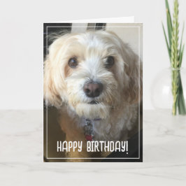 Tarjeta de cumpleaños de la foto