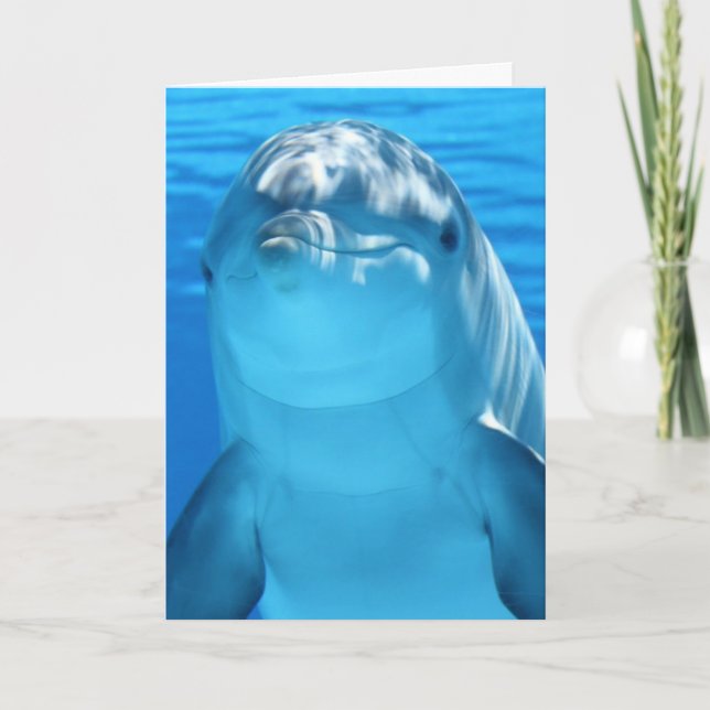 TARJETA DE CUMPLEAÑOS DE LA FOTOGRAFÍA DE DOLPHIN (Anverso)